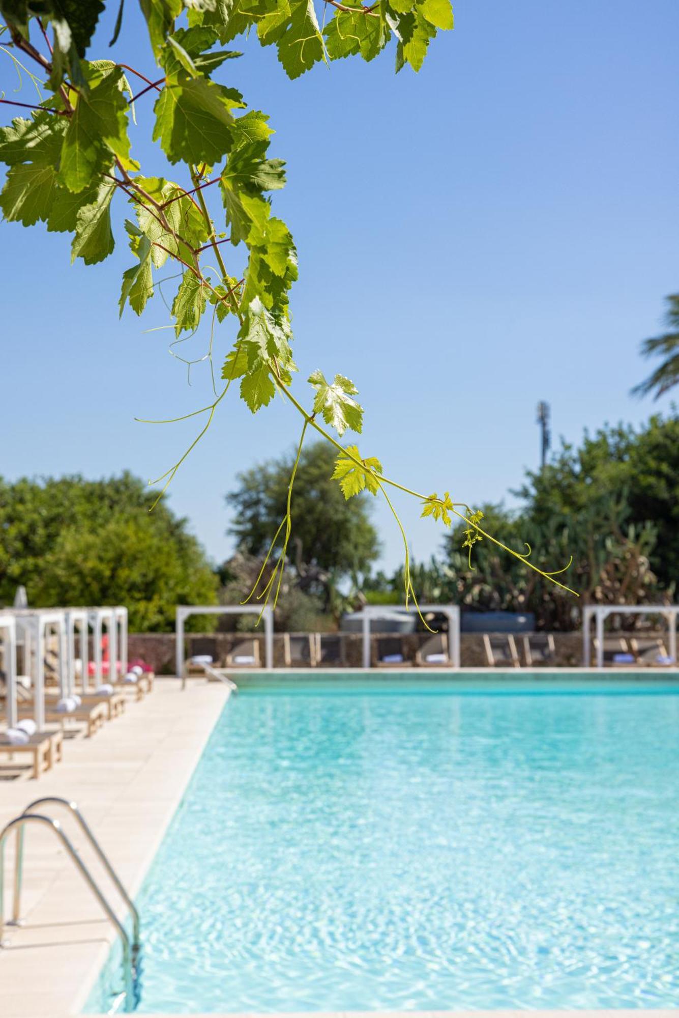 Masseria Malvindi 梅萨涅 外观 照片